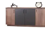Model Miro