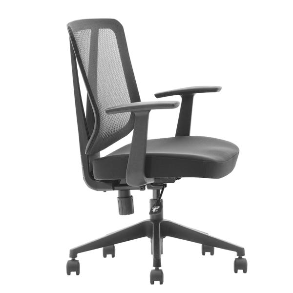 Model Sky M/B