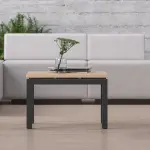 model Nova