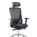 Model Mega